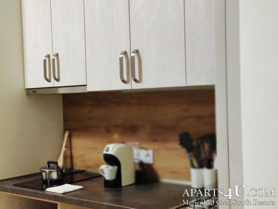 Apartment Grun Wald 마리안스케 라즈네 외부 사진