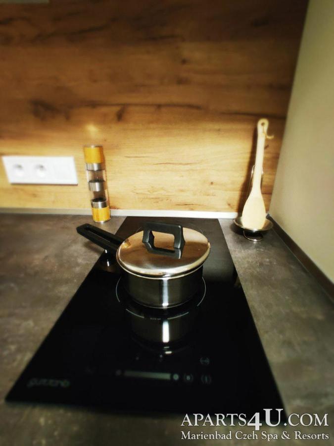 Apartment Grun Wald 마리안스케 라즈네 외부 사진