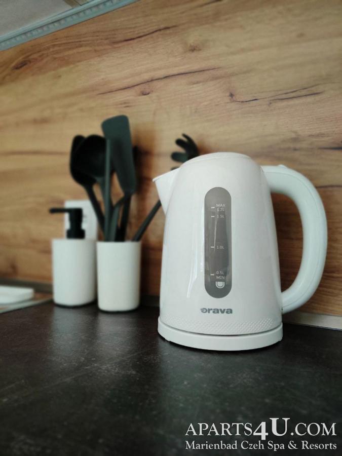 Apartment Grun Wald 마리안스케 라즈네 외부 사진